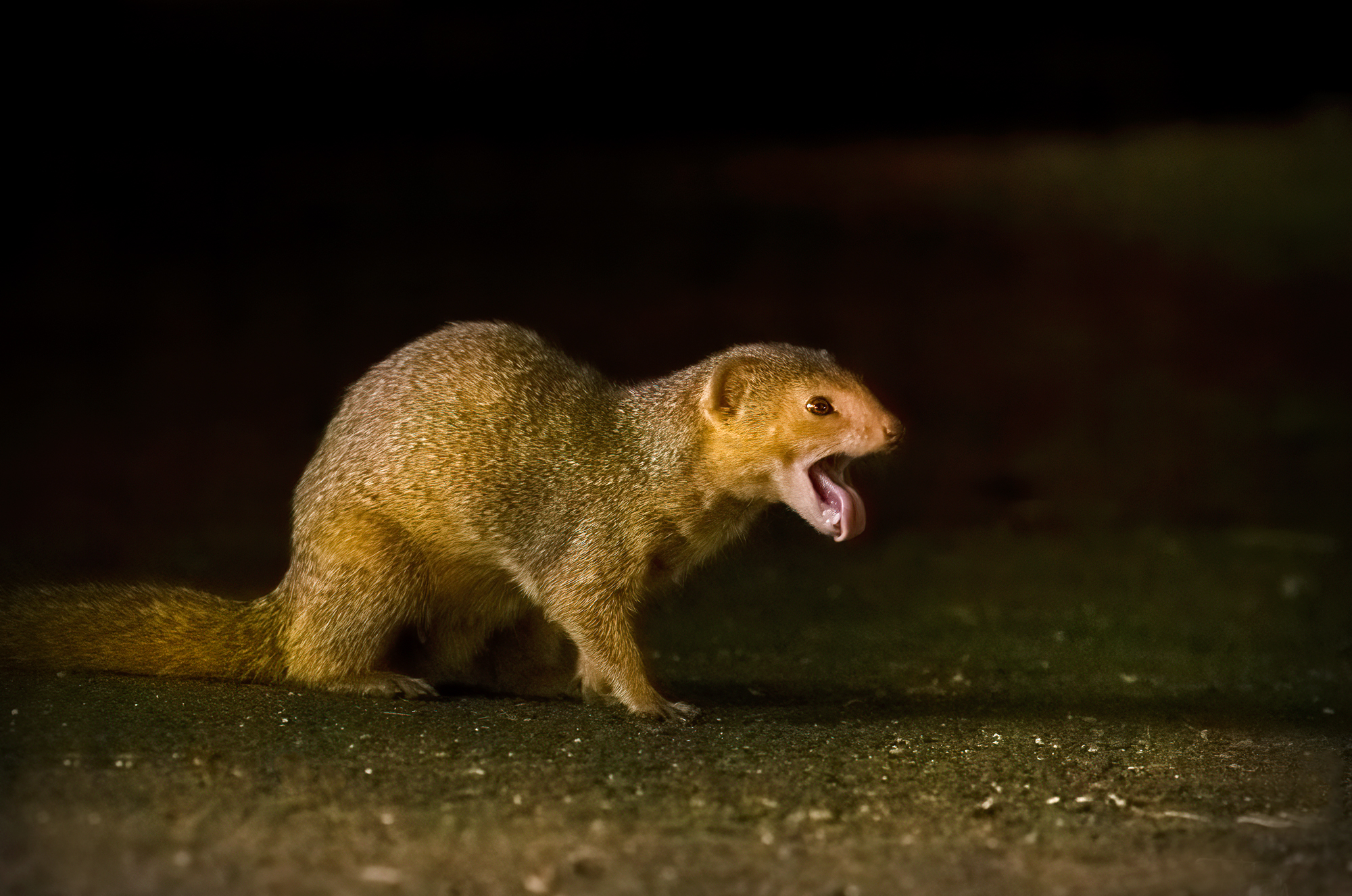 Final05
